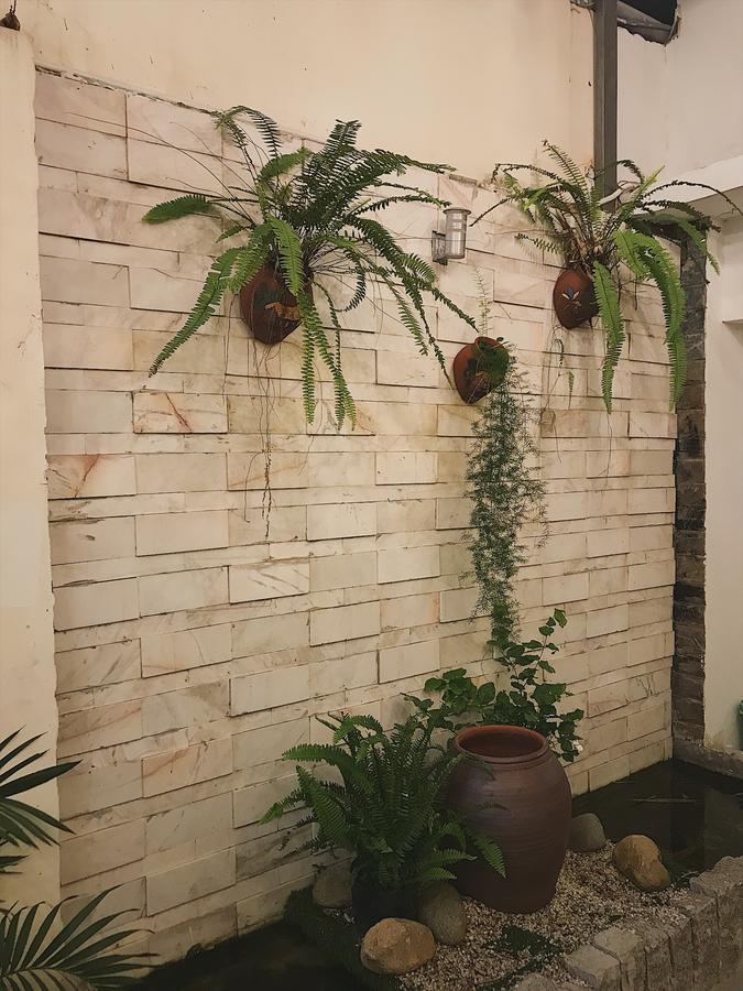 Toto Hostel Da Nang Eksteriør bilde