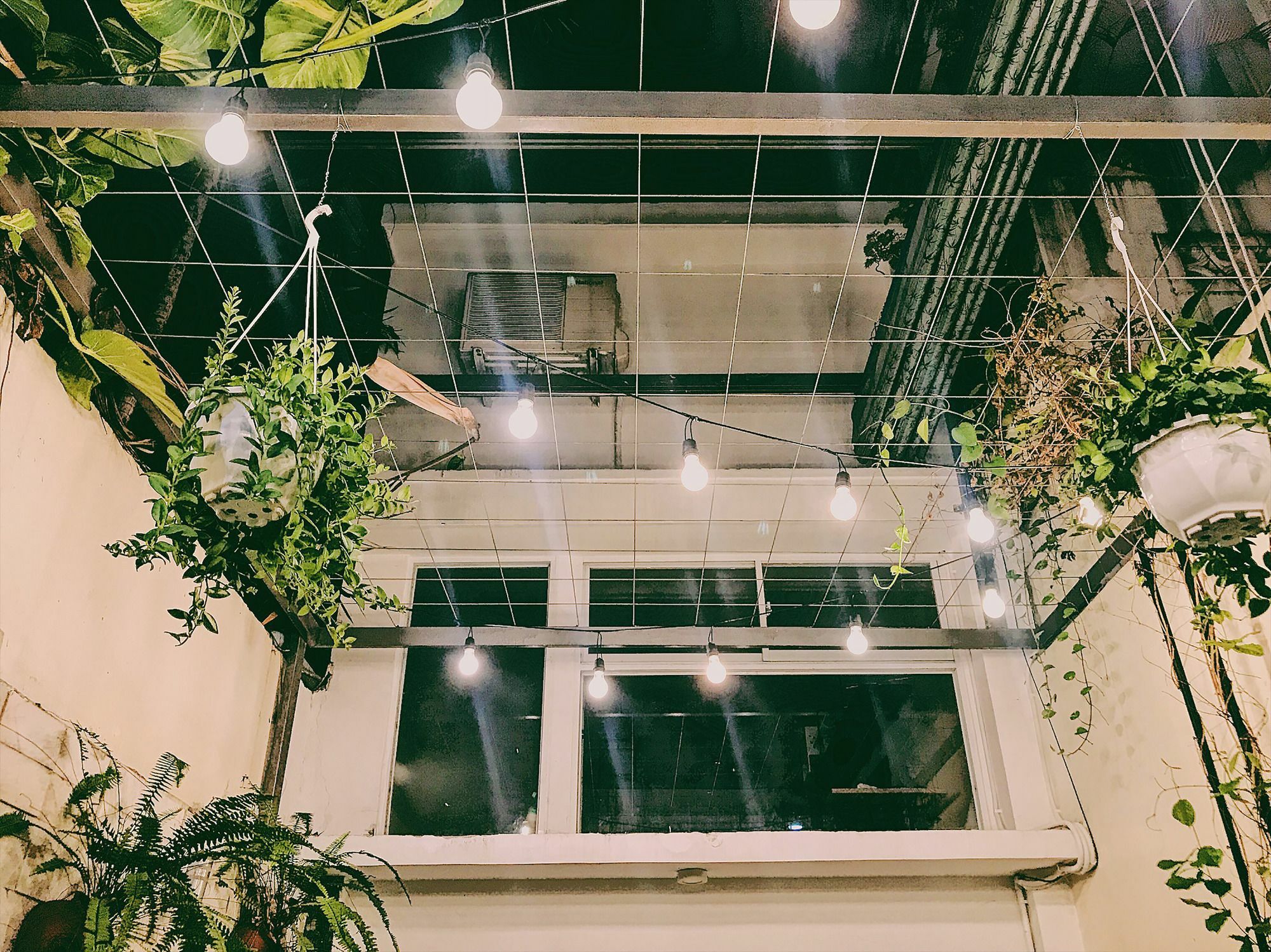 Toto Hostel Da Nang Eksteriør bilde